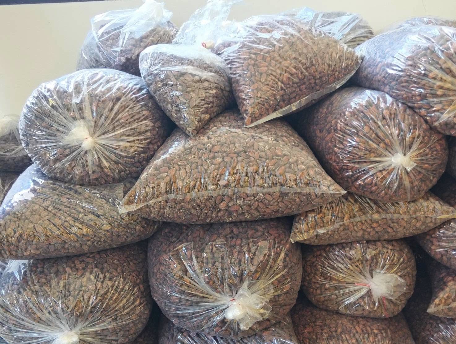 title - หัวหน้าผู้ตรวจราชการ ส.ป.ก. (เขต 3,15 และ 16) ประชุมตรวจติดตามความก้าวหน้าการดำเนินงานตามแผนงานตรวจราชการ ประจําปีงบประมาณ 2569 รอบที่ 1 ณ จังหวัดน่าน